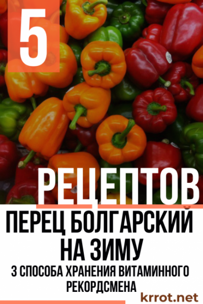 Перец болгарский на зиму: 3 способа хранения витаминного рекордсмена и 5 самых вкусных рецептов заготовок