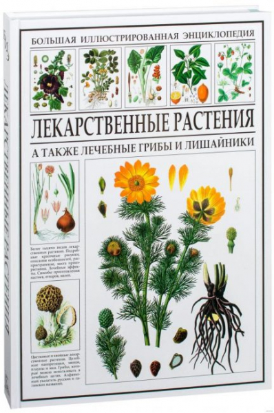 Лекарственные растения и травы: если вы думаете, что все о них знаете, то сильно ошибаетесь (Фото & Видео) +Отзывы