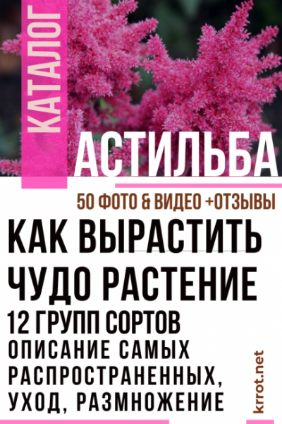 Астильба: 12 групп сортов, описание самых распространенных, уход, размножение (50 Фото & Видео) +Отзывы