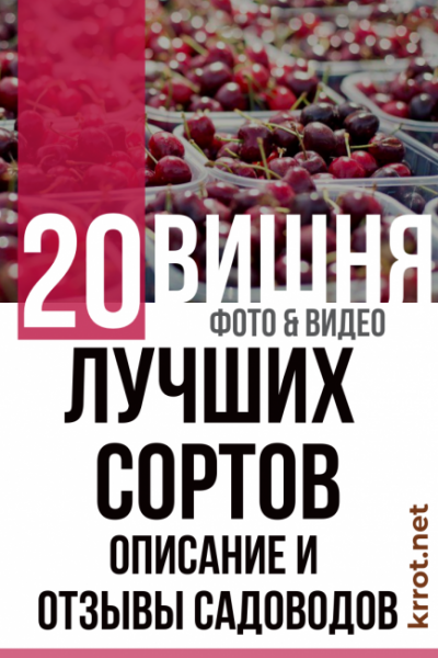 Вишня: описание 20 лучших сортов, характеристики и отзывы садоводов | (Фото & Видео)