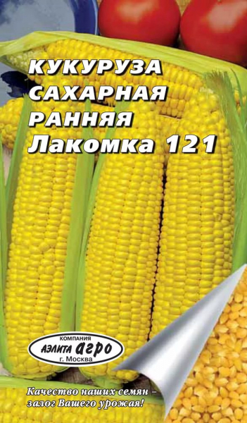 Посадка кукурузы в открытый грунт: как получить хороший урожай при минимальном уходе (25 Фото & Видео) +Отзывы