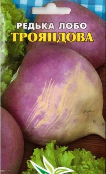 Редька: черная, зеленая и белая. Описание, полезные свойства и возможные противопоказания (Фото & Видео) +Отзывы