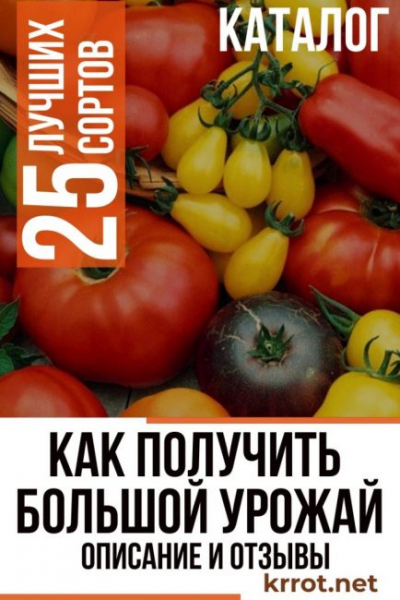 Томаты: характеристика и описание 25 лучших сортов с отзывами огородников | (Фото & Видео)