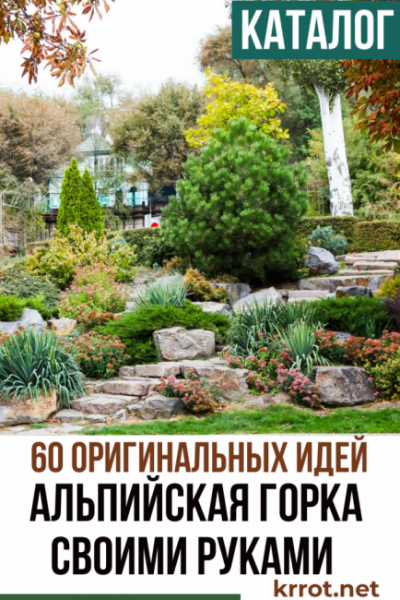 Как сделать альпийскую горку на даче своими руками? | Устройство и пошаговые советы (60+Фото & Видео)