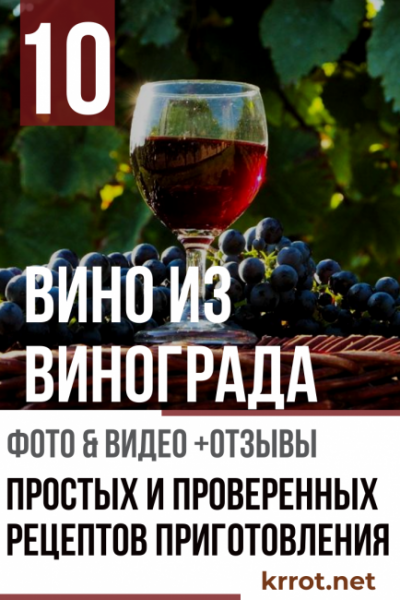 Как сделать домашнее вино из винограда? ТОП-10 простых и проверенных рецептов с пояснениями