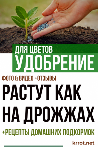 Удобрение для комнатных цветов. Описание типов удобрения, рецепты домашних подкормок (Фото & Видео) +Отзывы