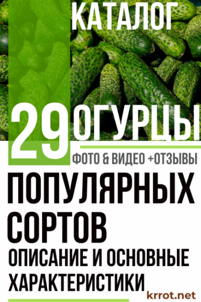 Огурцы: описание 29 сортов, основные характеристики и отзывы садовод о них | (Фото & Видео)