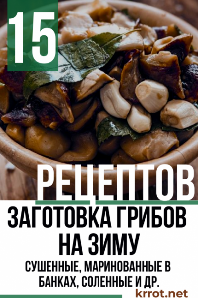 Заготовка Грибов на зиму — 15 очень вкусных рецептов: сушенные, маринованные в банках, соленные и другие вариации на любой вкус