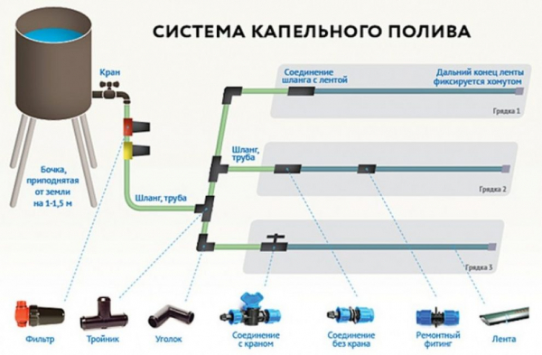 Капельный полив: пошаговый монтаж системы своими руками из готовых материалов, пластиковых бутылок (Фото & Видео)