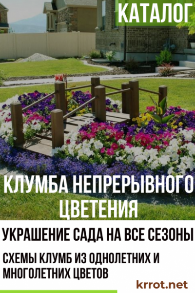 Клумба непрерывного цветения: украшение сада на все сезоны. Схемы клумб из однолетних и многолетних цветов (85+ Фото & Видео) +Отзывы