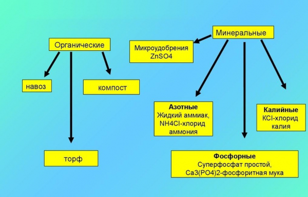 Применяем навоз как удобрение: конский, кроличий, куриный, коровий, свиной, жидкий и сухой, а также готовые смеси (Фото & Видео) +Отзывы